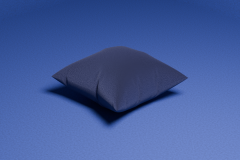 cushion_01